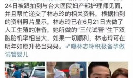 台媒近日爆料视频最新,视频揭露惊人内幕！